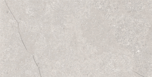 картинка Плитка керамогранитная AZARIO FOSSIL GREY 60х120 Matt (E4040821120M) от магазина Сантехстрой