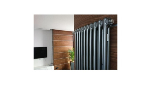 картинка Стальной 2-х трубчатый радиатор Arbonia 2180, 6 секций, высота: 1800 мм, длина: 270 мм, цвет: AME (Anthrazit metallic), боковое подключение № 12, размер подключения: 3/4" от магазина Сантехстрой