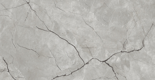 картинка Плитка керамогранитная AZARIO ATLAS GREY 60х120 Glossy (F4050821120G) от магазина Сантехстрой