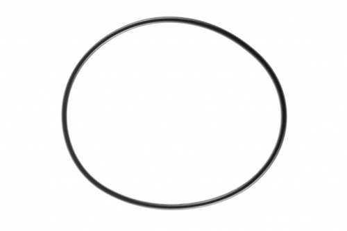 картинка Кольцо уплотнительное для корпусов Гейзер C24 BB прозрачных от магазина Сантехстрой