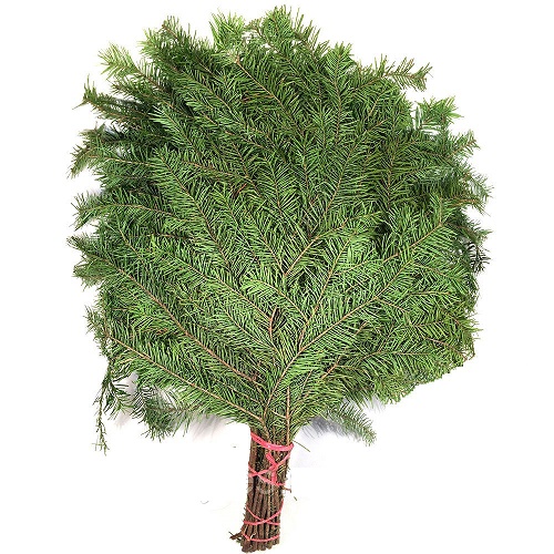 картинка Веник для бани Пихтовый от магазина Сантехстрой