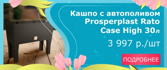 Кашпо с автополивом Prosperplast Rato Case High