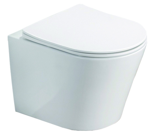 картинка Унитаз подвесной Azario Teramo 480х365х360 безободковый в комплекте с сидением микролифт, белый (AZ-0053 SP) от магазина Сантехстрой