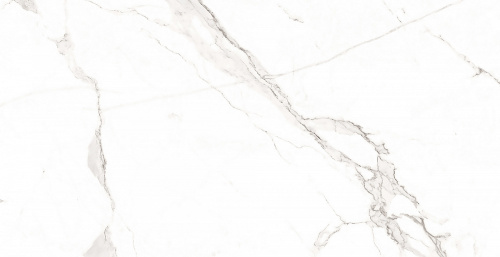 картинка Плитка керамогранитная AZARIO STATUARIO CLASSIC 60х120 Matt (F2020821120M) от магазина Сантехстрой