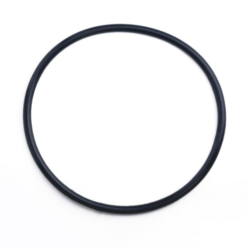 картинка Кольцо уплотнительное для корпуса Тайфун BB от магазина Сантехстрой