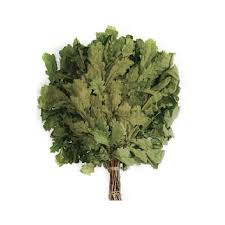 картинка Веник для бани Дуб канадский красный от магазина Сантехстрой