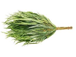 картинка Веник для бани "Эвкалипт" от магазина Сантехстрой