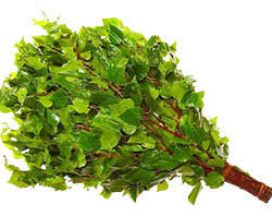 картинка Веник "Береза" в упаковке от магазина Сантехстрой