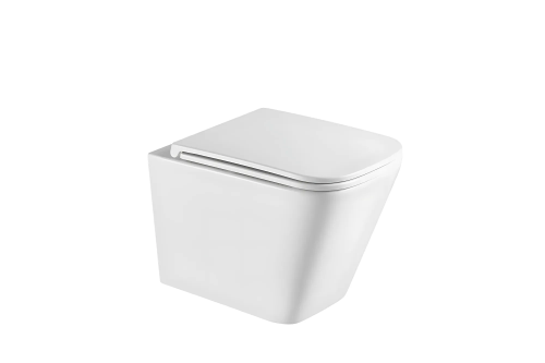 картинка Подвесной унитаз безободковый Terminus Ватикан 490х340 белый от магазина Сантехстрой