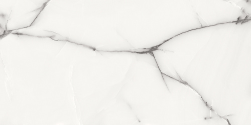 картинка Плитка керамогранитная AZARIO ONYX GREY 60х120 Glossy (P3211112138G) от магазина Сантехстрой