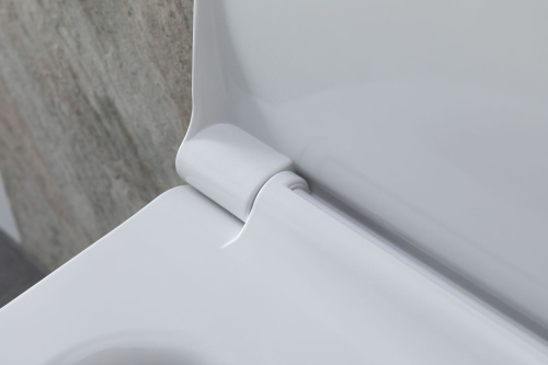 картинка Чаша подвесного унитаза Allen Brau Priority 4.31002.20 белый глянец от магазина Сантехстрой