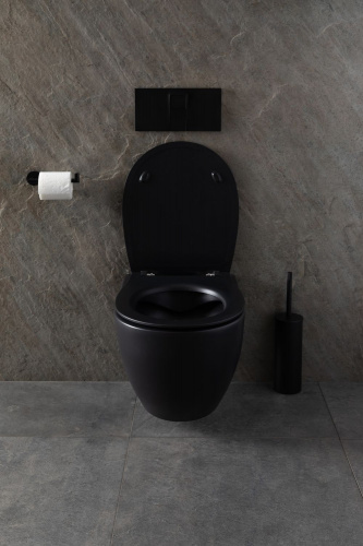 картинка Чаша подвесного унитаза Allen Brau Reality 4.32006.31 черный матовый от магазина Сантехстрой