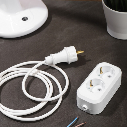 картинка Колодка 2 гнезда с заземлением REXANT от магазина Сантехстрой