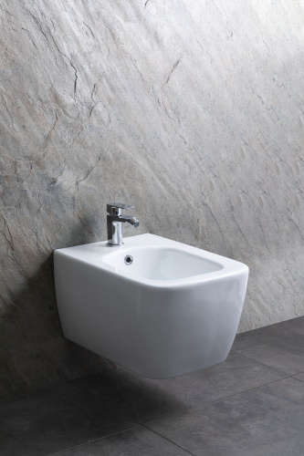 картинка Биде подвесное Allen Brau Liberty 4.33010.20 белый от магазина Сантехстрой