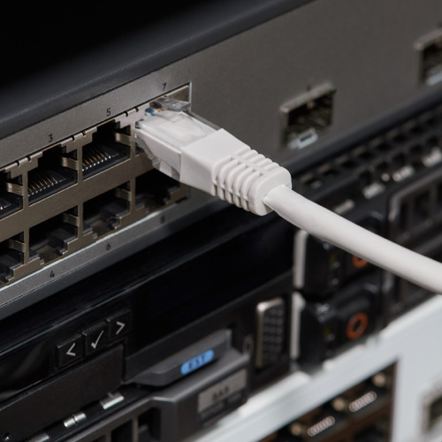 картинка Шнур коммутационный,  патч-корд U/UTP RJ45-RJ45, CAT 5e,  LSZH серый,  1,5м REXANT от магазина Сантехстрой