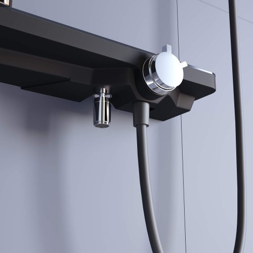 фото смеситель душевой rgw sp-40gr