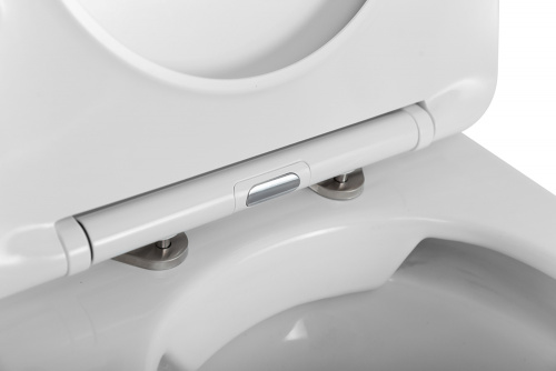 картинка Унитаз приставной безободковый с сиденьем BelBagno FLAY-R BB1003CBR/SC от магазина Сантехстрой