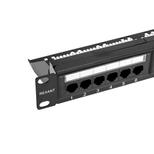 картинка Панель коммутационная с кабельным органайзером 19",  1U,  24 порта, UTP,  RJ-45, CAT 5e REXANT PRO от магазина Сантехстрой