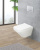 картинка Сиденье для унитаза с микролифтом BelBagno Sela BB3201SC от магазина Сантехстрой