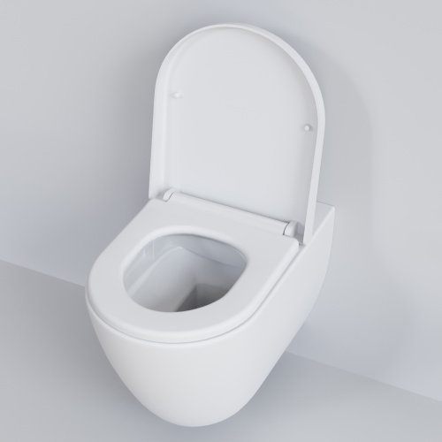 картинка Сиденье д/унитаза Ambassador Queen 112T20101 (толстое) БЕЛОЕ МАТОВОЕ от магазина Сантехстрой