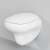 картинка Унитаз Diamond 123T20001R (530*405*375) БЕЛЫЙ подвесной БЕЗОБОДКОВЫЙ с толстой крышкой, 2 места от магазина Сантехстрой