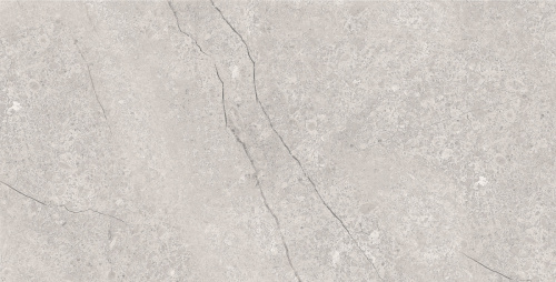 картинка Плитка керамогранитная AZARIO FOSSIL GREY 60х120 Matt (E4040821120M) от магазина Сантехстрой