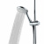 картинка Ручной душ Hansgrohe Raindance Classic, 100 3jet, хром/под золото (28548090) от магазина Сантехстрой