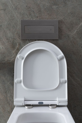 картинка Чаша подвесного унитаза Allen Brau Priority 4.31002.20 белый глянец от магазина Сантехстрой