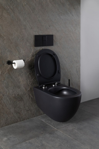 картинка Чаша подвесного унитаза Allen Brau Reality 4.32006.31 черный матовый от магазина Сантехстрой