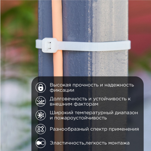 картинка Хомут-стяжка кабельная нейлоновая 300x4,8 мм,  белая (100 шт/уп) REXANT от магазина Сантехстрой