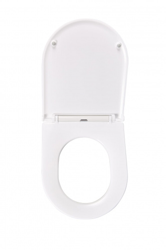 картинка Сиденье для унитаза Terminus Аврора цвет белый от магазина Сантехстрой