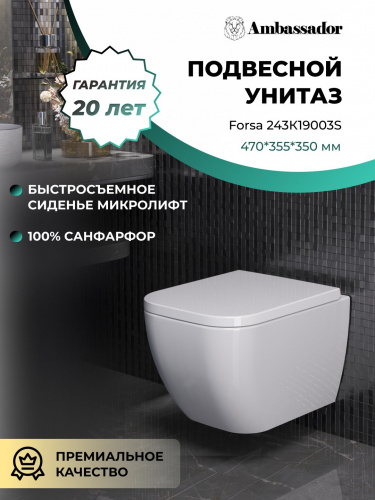 картинка Унитаз Forsa 243K19003S (475*360*350) подвесной , 2 места от магазина Сантехстрой