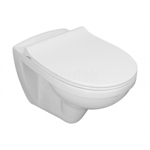 картинка Унитаз Пэк Santek "Бореаль" rimless подвесной, безободковый с тонким сиденьем, инсталляция, панель белого цвета (1.WH50.1.832) от магазина Сантехстрой