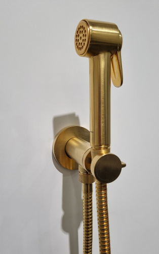 картинка Гигиенический душ Bossini Paloma Brass E37005B.043 Золото сатинированное от магазина Сантехстрой