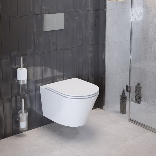 картинка Унитаз Ritz 233K19003RS (530*360*350) подвесной БЕЗОБОДКОВЫЙ, 2 места от магазина Сантехстрой