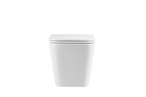 картинка Подвесной унитаз безободковый Terminus Ватикан 490х340 белый от магазина Сантехстрой