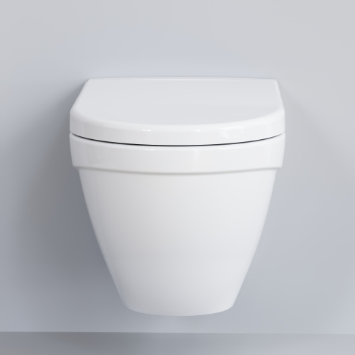 картинка Сиденье д/унитаза Ambassador Nord 132T20001 (толстое) БЕЛОЕ от магазина Сантехстрой