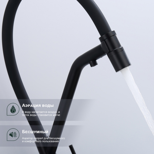 картинка Смеситель Splenka для кухни со съемным гибким изливом, с магнитным фиксатором излива, с подключением фильтра питьевой воды (S70.62.06) от магазина Сантехстрой