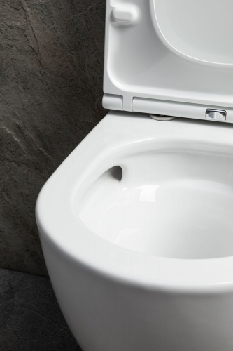 картинка Чаша подвесного унитаза Allen Brau Priority Tornado 4.31009.20 белый глянец от магазина Сантехстрой