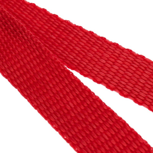 картинка Ремень REXANT для крепления груза с фиксатором,  2.5 м от магазина Сантехстрой