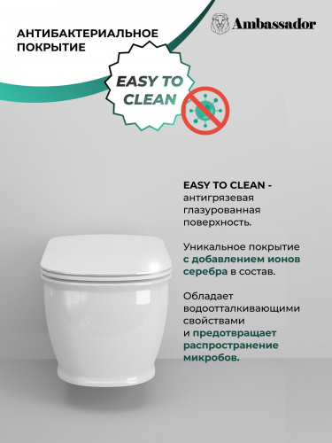 картинка Унитаз Royal 263K19002RS (520*360*345) подвесной БЕЗОБОДКОВЫЙ, 2 места от магазина Сантехстрой