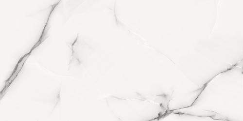 картинка Плитка керамогранитная AZARIO ONYX GREY 60х120 Glossy (P3211112138G) от магазина Сантехстрой