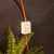 картинка Рoзетка компьютерная внешняя 1-порт UTP RJ-45 (8P-8C),  CAT 5e,  REXANT от магазина Сантехстрой