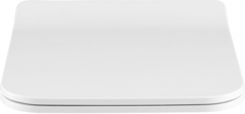 картинка Сиденье для унитаза Allen Brau Liberty 4.33008.21 белый матовый от магазина Сантехстрой