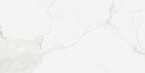 картинка Плитка керамогранитная Creo Ceramique WHITE WAVE 60х120 Glossy (GBT750219) от магазина Сантехстрой