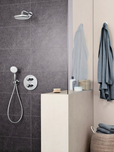 картинка Верхний душ Grohe Tempesta 26412000 Хром от магазина Сантехстрой
