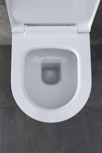 картинка Чаша подвесного унитаза Allen Brau Priority 4.31002.20 белый глянец от магазина Сантехстрой