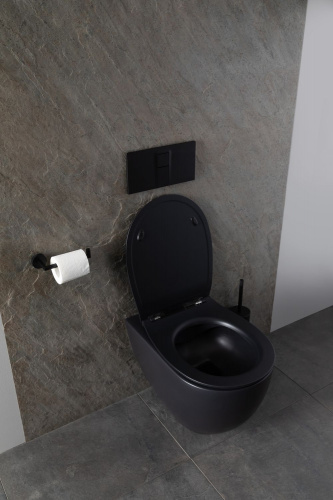 картинка Чаша подвесного унитаза Allen Brau Reality 4.32006.31 черный матовый от магазина Сантехстрой