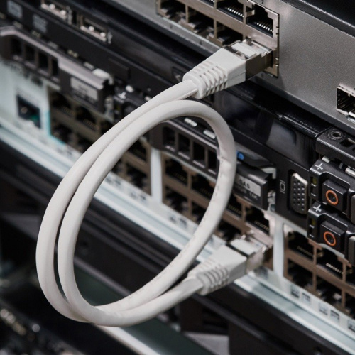 картинка Шнур коммутационный,  патч-корд F/UTP RJ45-RJ45, CAT 5e, LSZH,  серый,  0,5м REXANT от магазина Сантехстрой