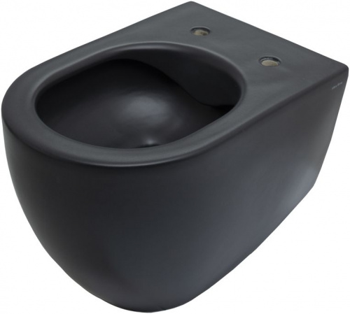 картинка Чаша подвесного унитаза Allen Brau Reality 4.32006.31 черный матовый от магазина Сантехстрой